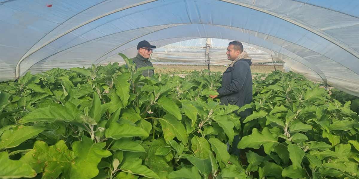 Da sinistra verso destra: il tecnico Maurizio Tancredi con il produttore Giovanni Lippo
